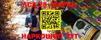 сатива Сланцы