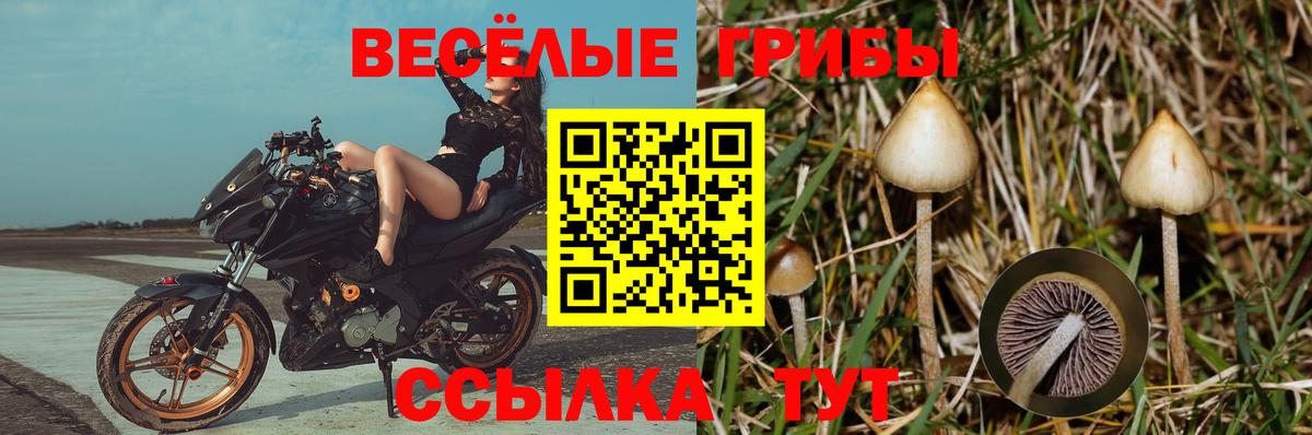 Галлюциногенные грибы GOLDEN TEACHER Саяногорск