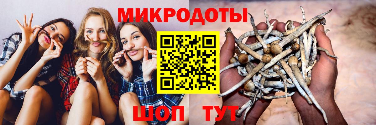 Псилоцибиновые грибы мухоморы  Галлюциногенные грибы мухоморы  Вход с VPN  Саяногорск 